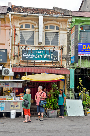 Bettle Nut Tree