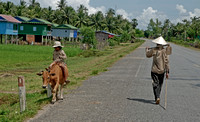 On the road in Cambodia