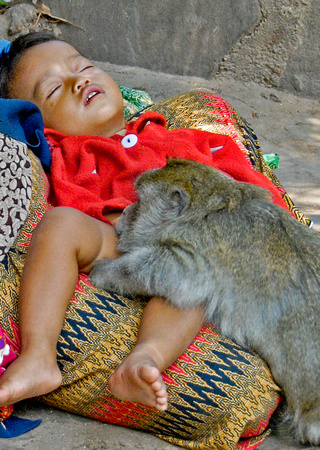 Child & Monkey at Wat Phnom