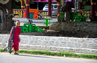 young monk on road