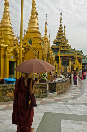 Monk at Shwedagon