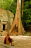 Monk with Tree, Ta Prohm