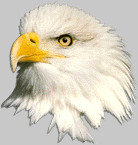 eagle photo