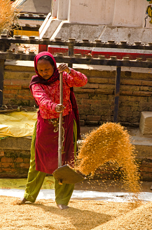 Lady throwing rice 1