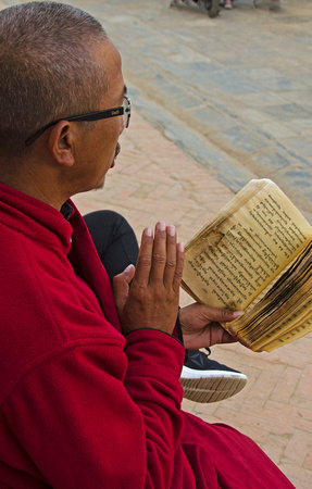 Monk reading