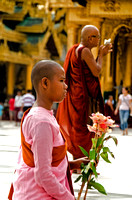Novice monk at Shwedagon, Yangon