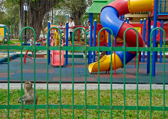 Monkey & Kids at the playground
