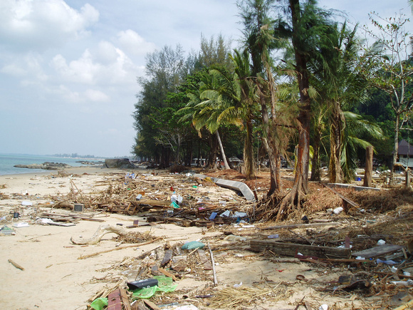 Beach at Koh Lak  10 days after teh Tsunami hit