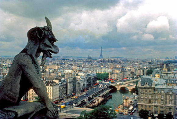 looking out over  Paris from Notre Dam