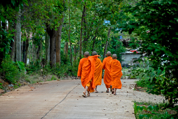 Young Monks walking