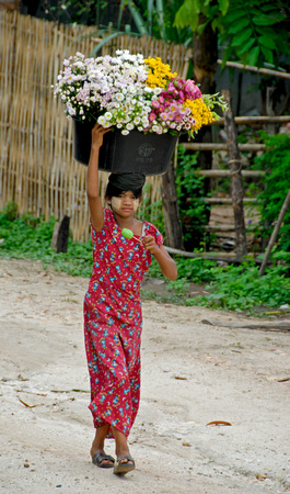 Burmese Flower girl