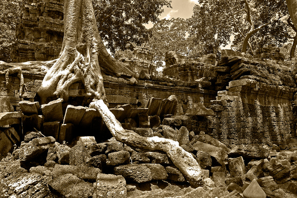 Ta Prohm at Angkor Wat