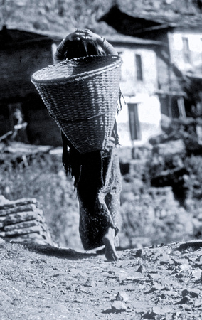 Carrying basket Ghasa village
