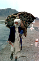 Afghan on the road
