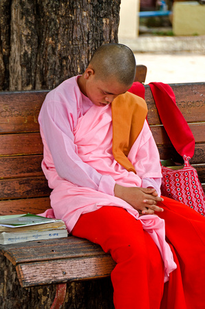 Resting Novice monk