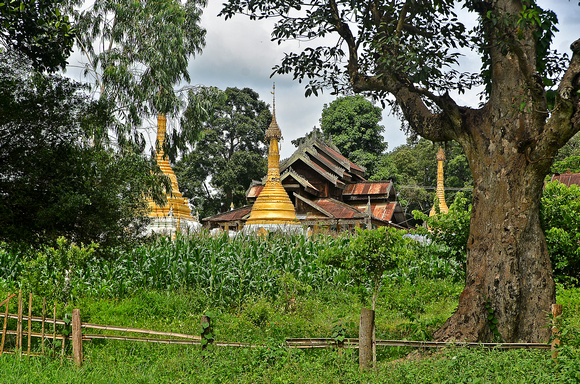 Pagoda in Corn field