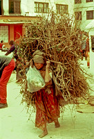Lady with Grass-sticks