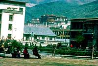 Lhasa with Portola in Background